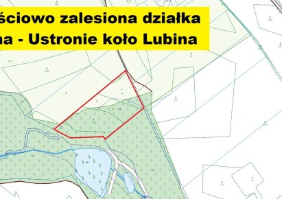 działka na sprzedaż - Lubin (gw), Ustronie